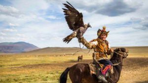 蒙古:鹰猎