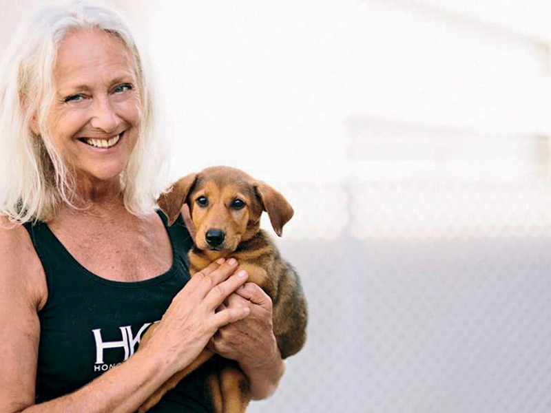 Sally Anderson是香港救狗会的创始人