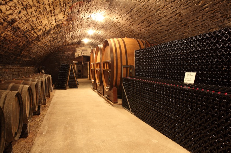 许多因素会影响香槟的最终品质，比如如何发酵和窖藏。图片:Michel Guillard/CIVC