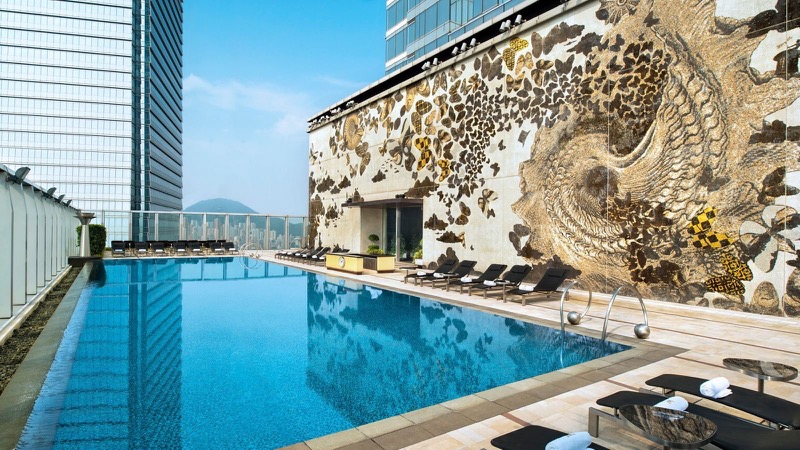 酒店泳池:香港W酒店以其魅力闻名