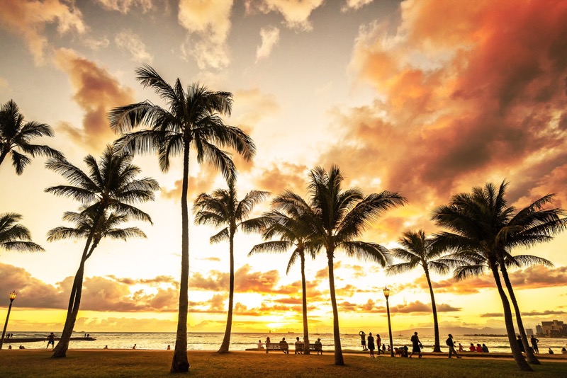 海滩度假:繁茂、悠闲、可爱的夏威夷