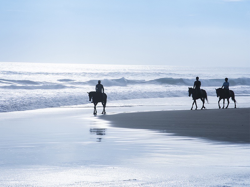 巴厘岛:骑马和海滩有什么不喜欢的呢?
