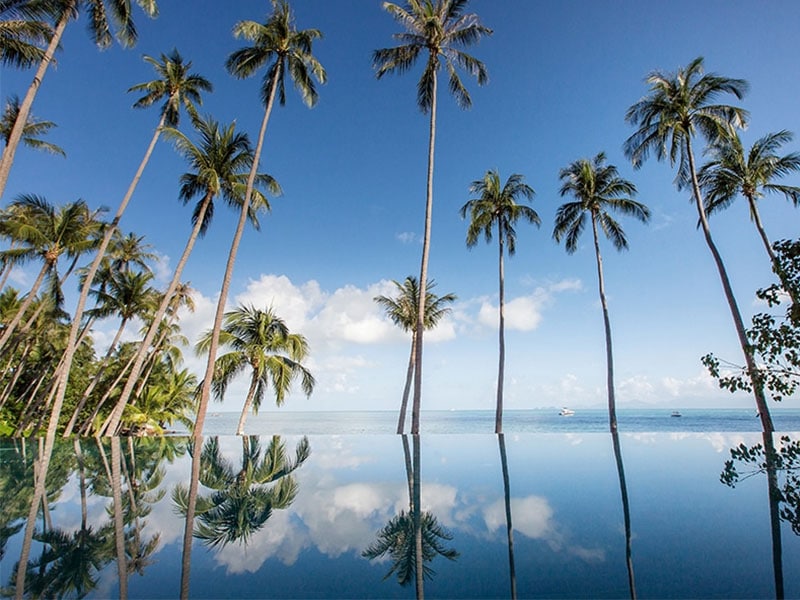 四季苏梅岛无边泳池与棕榈树