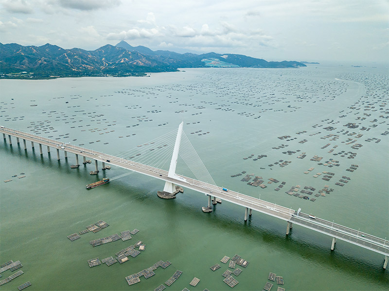 香港通往中国的大桥