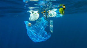 海洋中的塑料袋图片，以减少塑料的使用