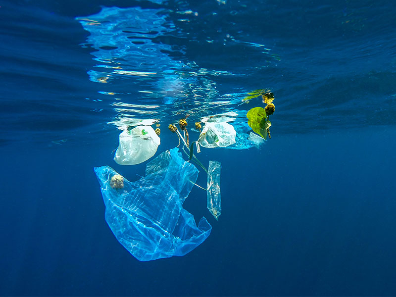 海洋中的塑料袋