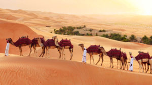 骆驼在QASR度假村前的故事冒险旅行假期