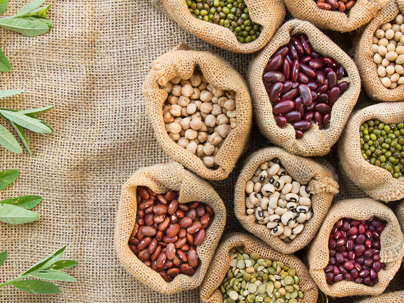 豆类和谷物-关于更年期和饮食，整体营养的网络文章
