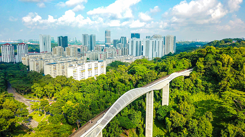 香港-新加坡旅游泡沫-在新加坡可以做的事情伟德betvicror登陆