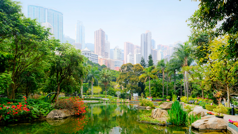 香港公园-最好的户外活动