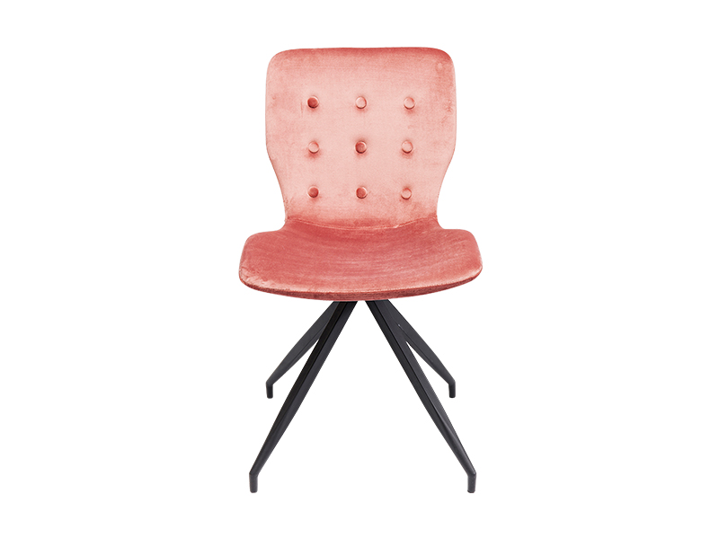 餐厅桌椅——玫瑰丝绒蝴蝶椅，2,980美元，龙舌兰科拉