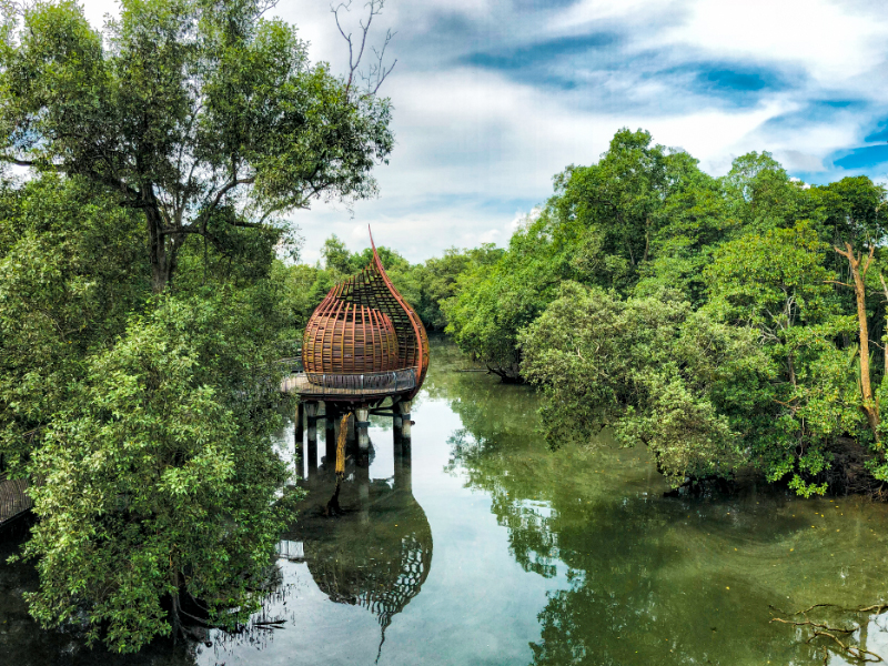 生活在新加坡-双溪布洛湿地