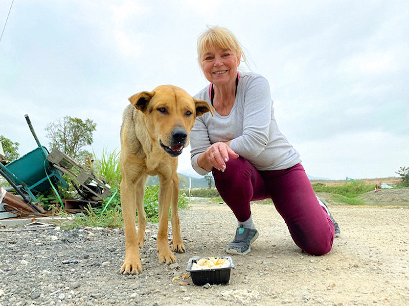 西贡流浪狗朋友基金会创始人纳瑞尔·帕慕克说，香港的狗狗救援