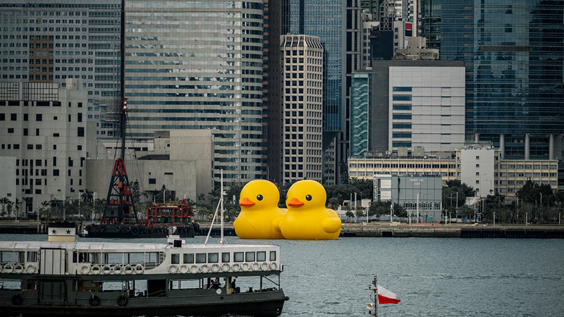 香港双鸭子展览